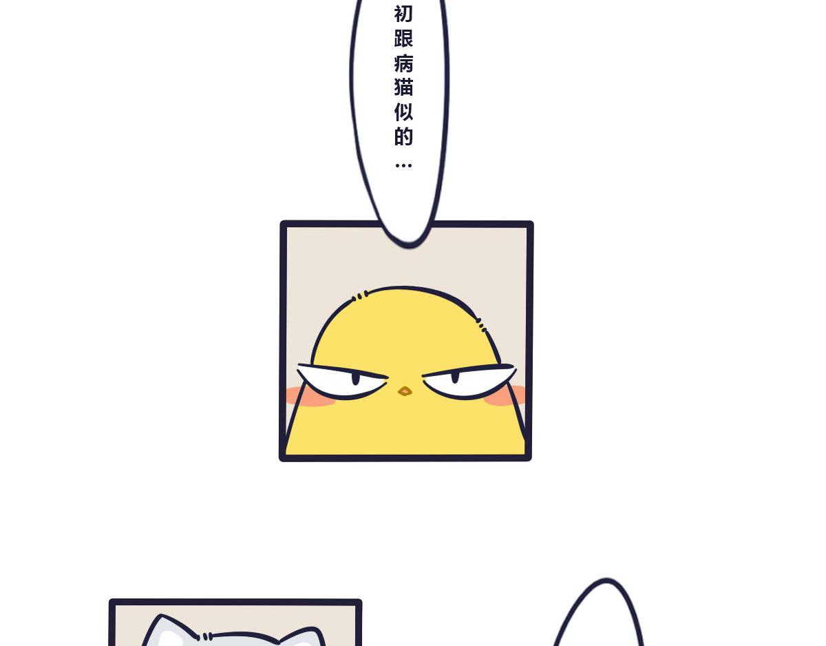 《喵叽喵叽》第二十话替你报仇十年不晚 第6页