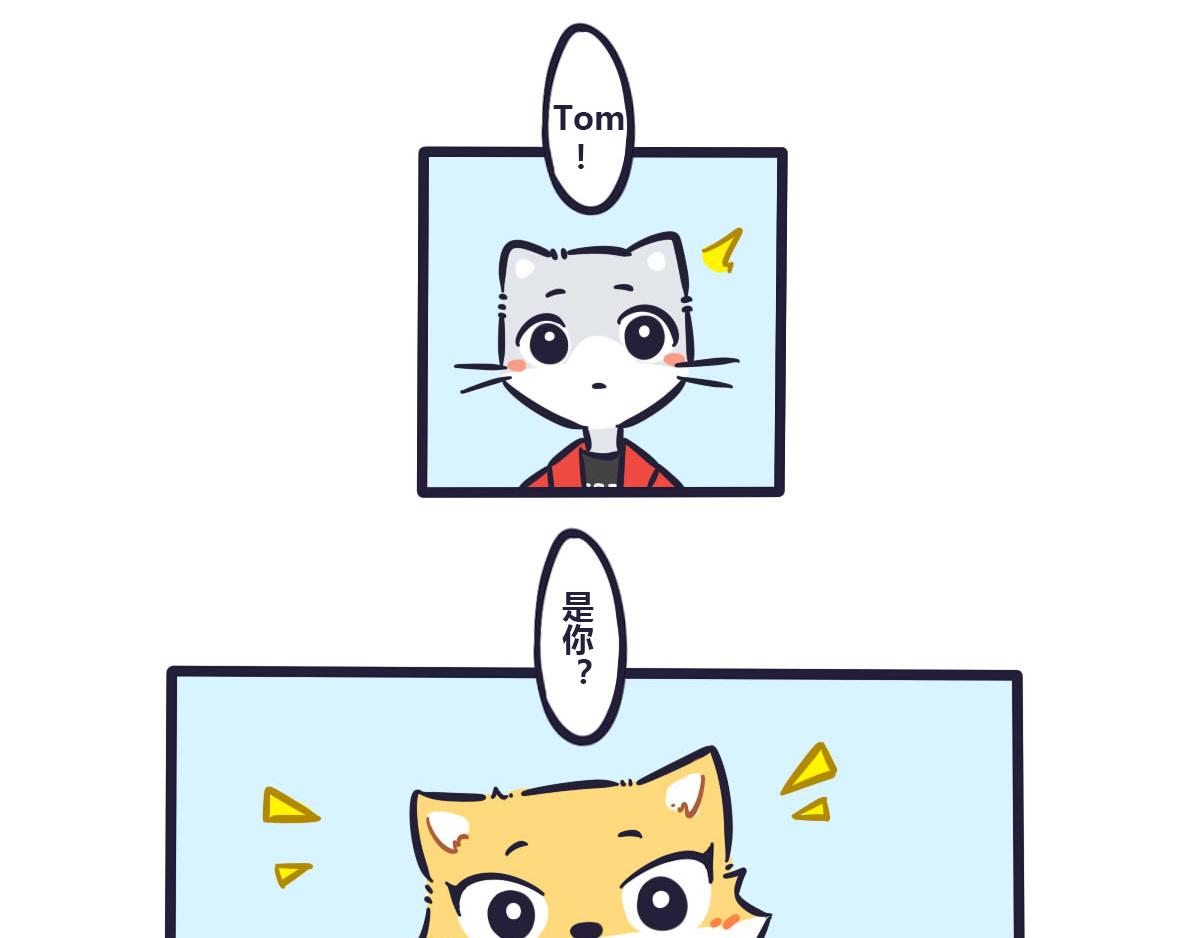 《喵叽喵叽》第三十六话TOM，好久不见 第11页