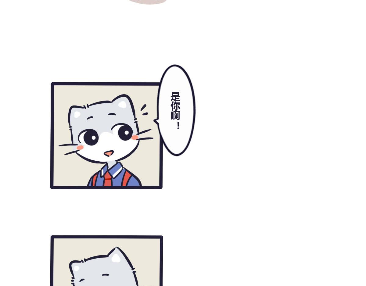 《喵叽喵叽》番外狸老大的回忆（2） 第13页