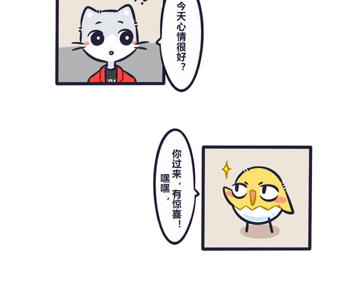 《喵叽喵叽》番外关于快递 第6页