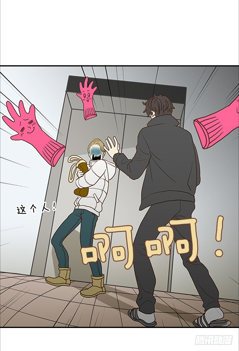 《翟男的女人》3.我不认识她 第2页