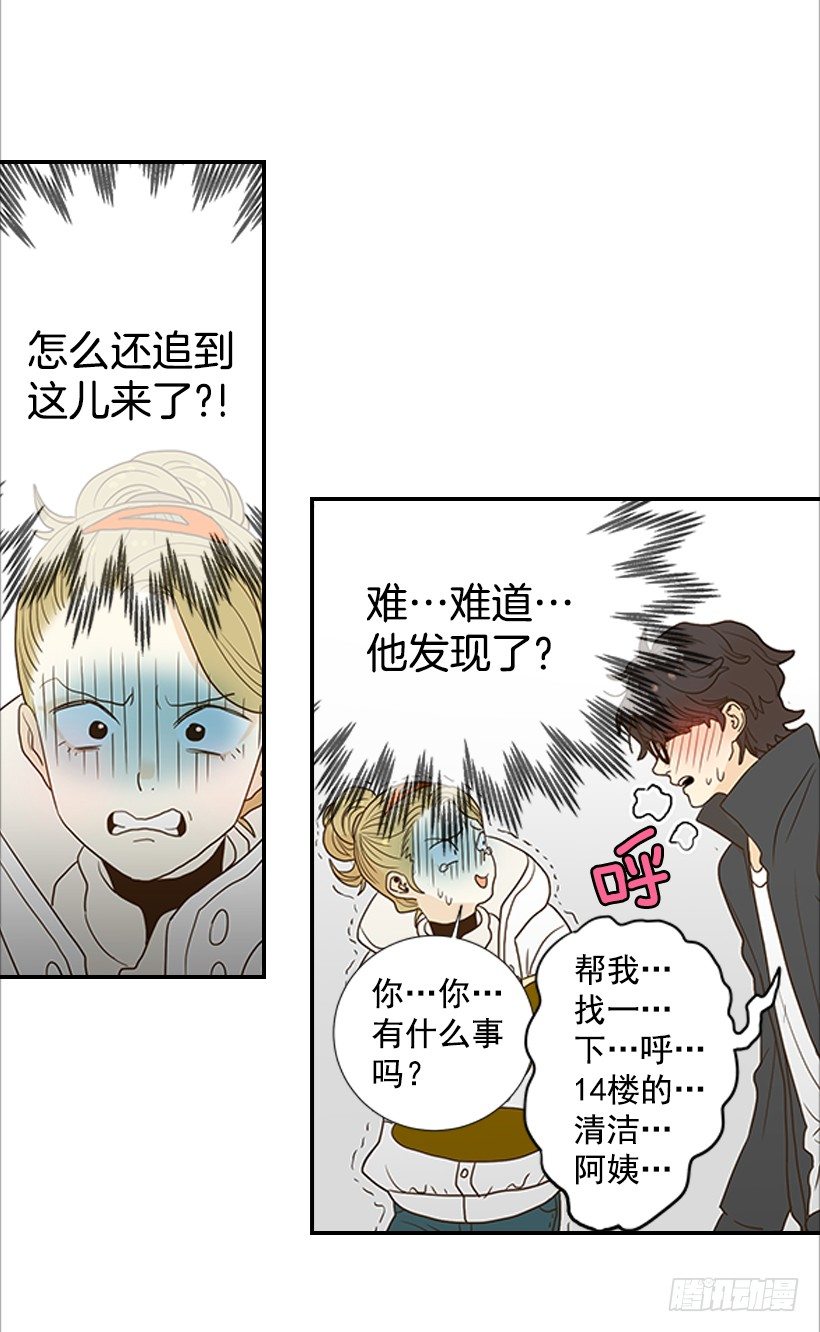 《翟男的女人》3.我不认识她 第3页