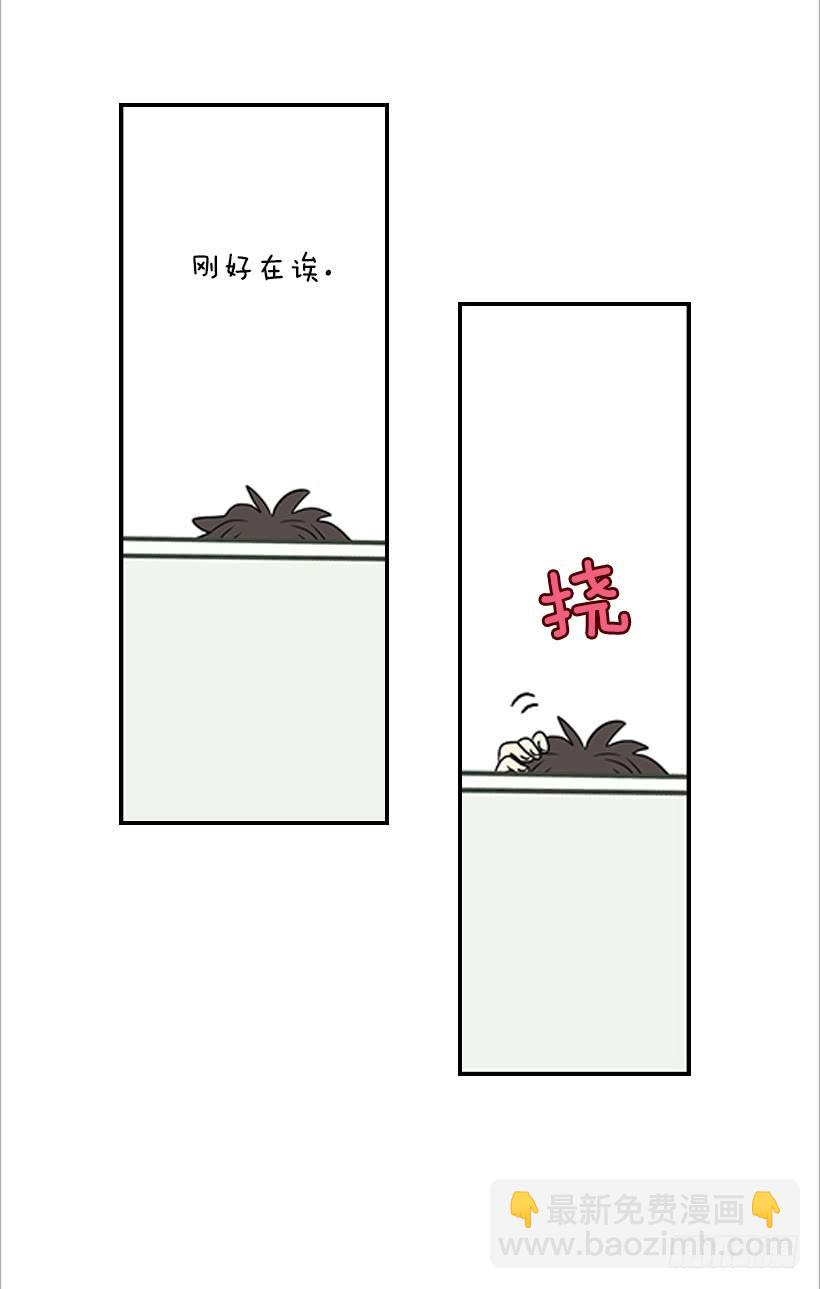 《翟男的女人》3.我不认识她 第47页