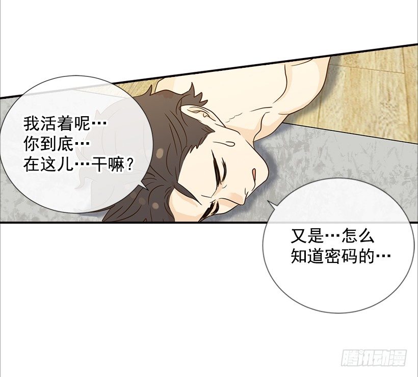 《翟男的女人》15.这家伙又… 第33页