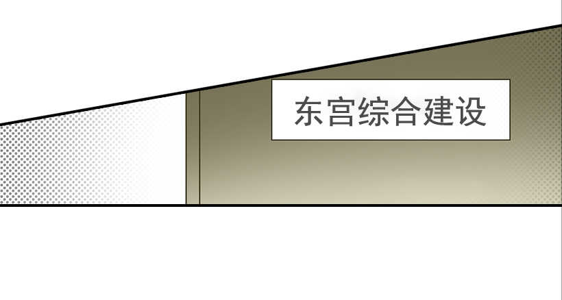 《翟男的女人》33.董事长的提议 第30页