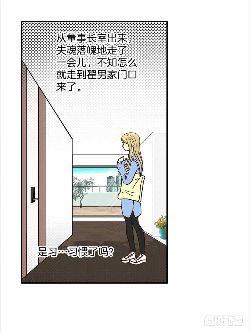 《翟男的女人》33.董事长的提议 第45页