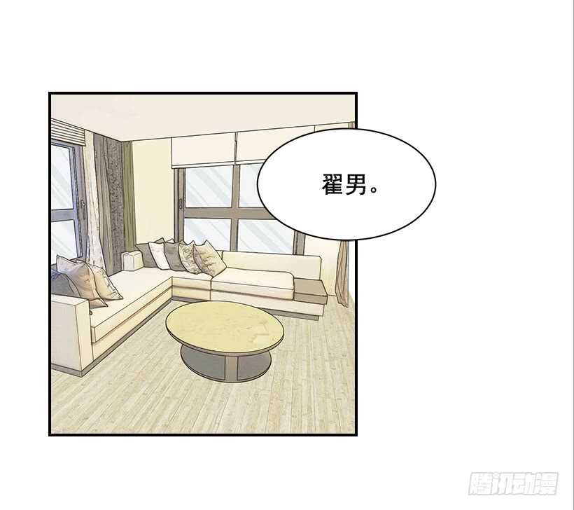 《翟男的女人》33.董事长的提议 第49页