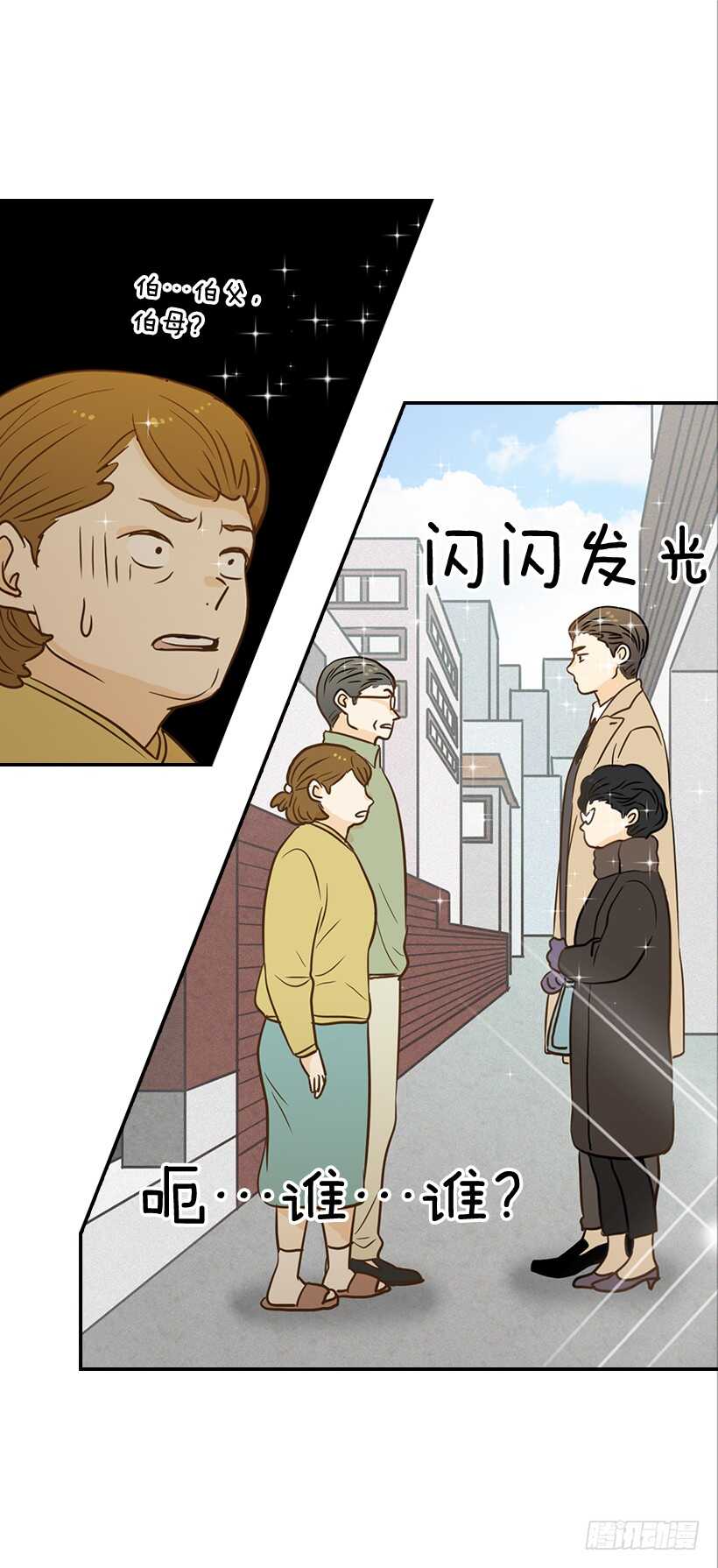 《翟男的女人》47.登门造访 第47页