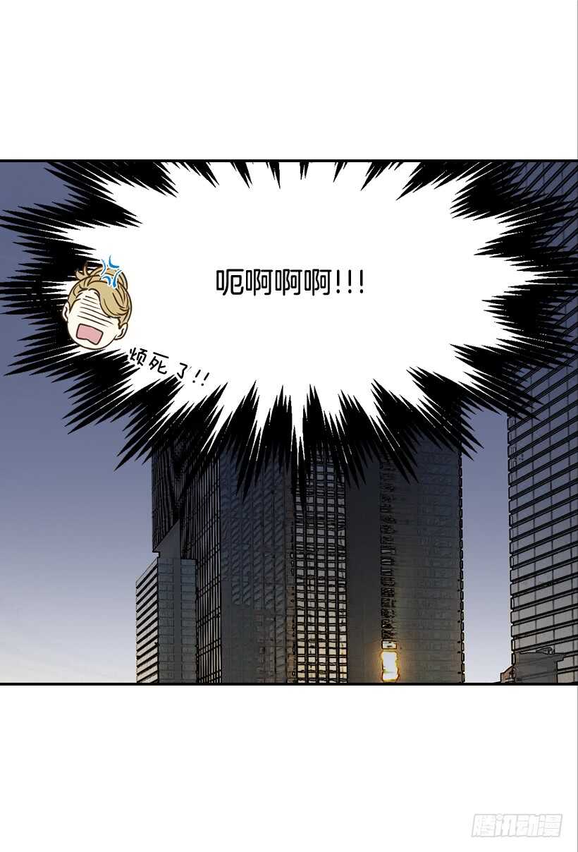 《翟男的女人》49.翟女婿和宝贝儿媳 第12页