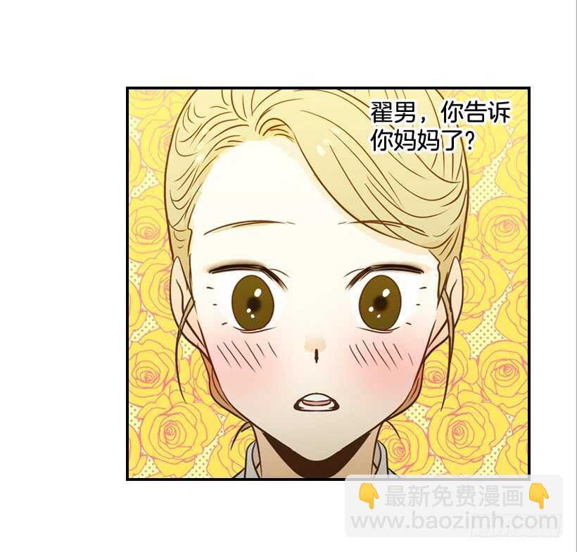 《翟男的女人》48.转危为安 第48页