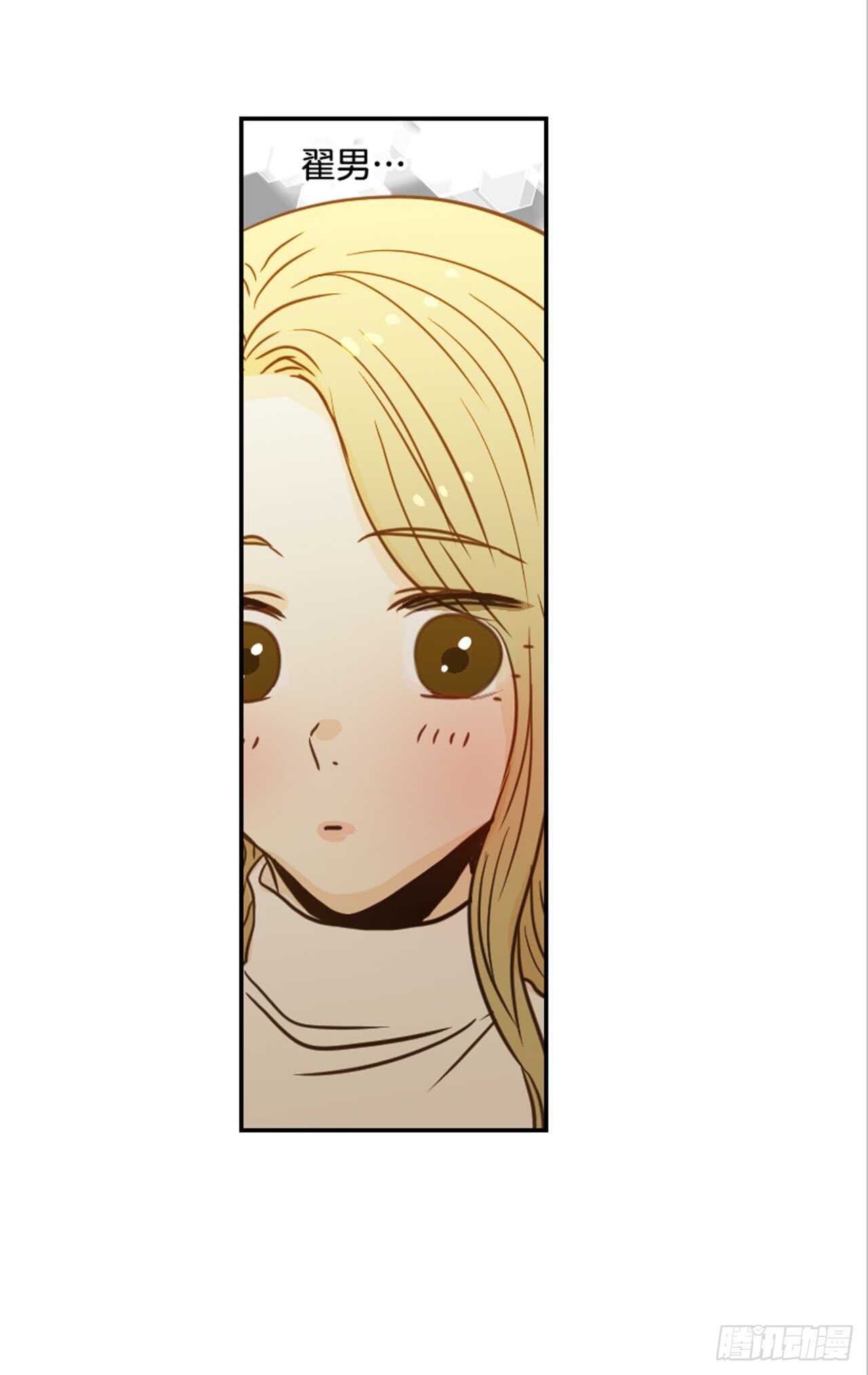 《翟男的女人》63.被安排的明明白白的 第40页