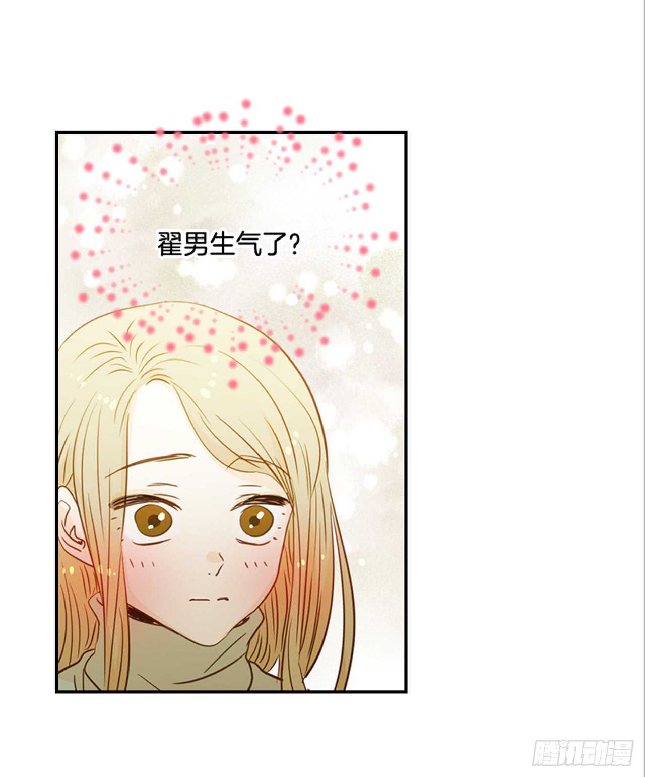 《翟男的女人》66.莫名其妙 第31页