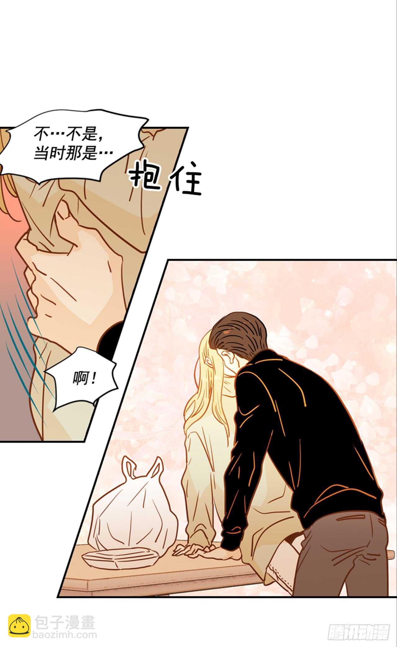 《翟男的女人》69.买那个东西 第11页