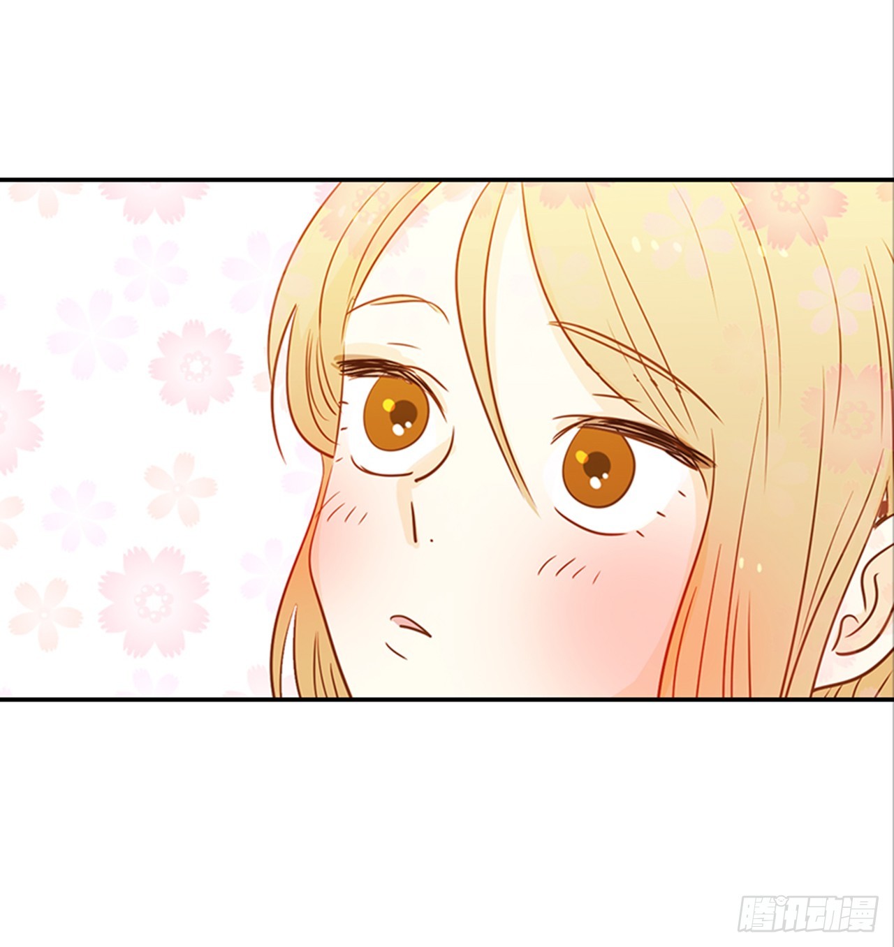 《翟男的女人》77. 这是什么鬼？ 第24页