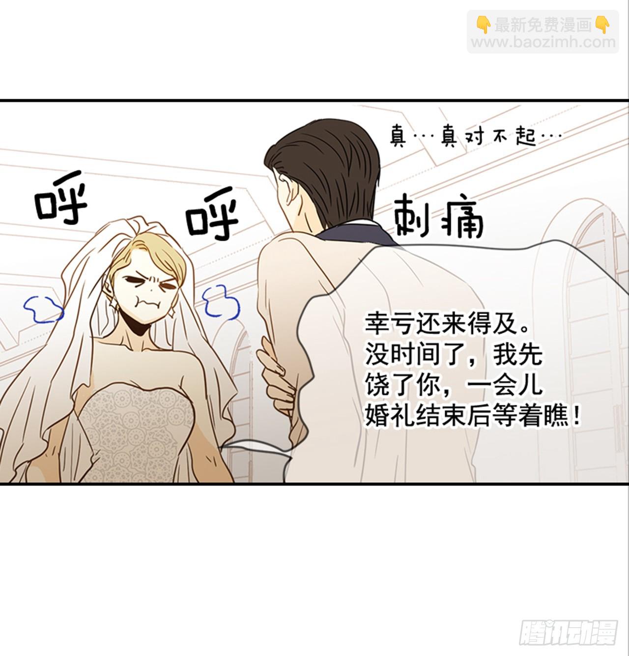 《翟男的女人》89.婚礼当天 第26页