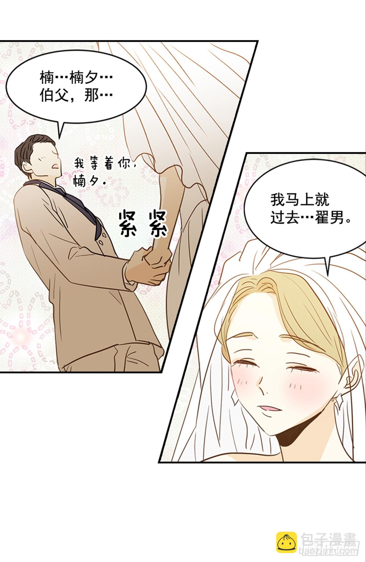 《翟男的女人》89.婚礼当天 第29页