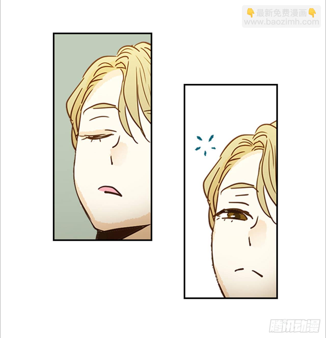 《翟男的女人》番外4.初见宝宝 第41页