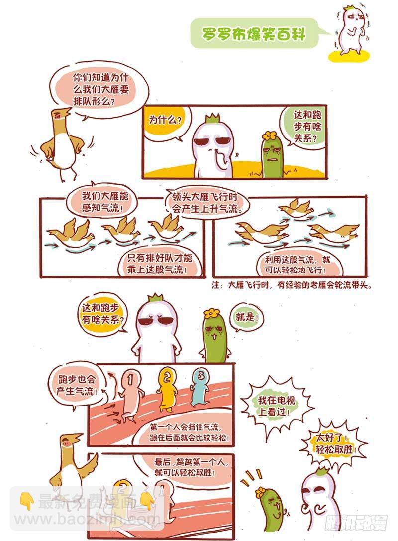 《罗罗布爆笑百科》后来居上 第3页