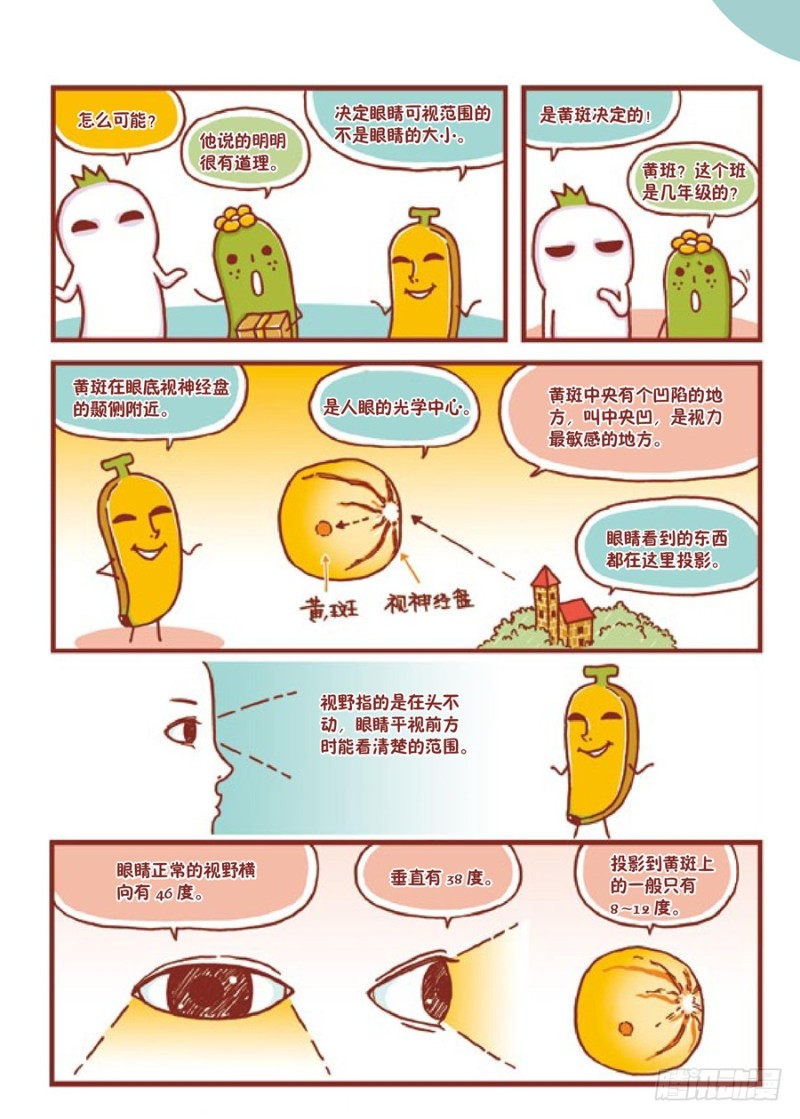 《罗罗布爆笑百科》大的小的都一样 第2页
