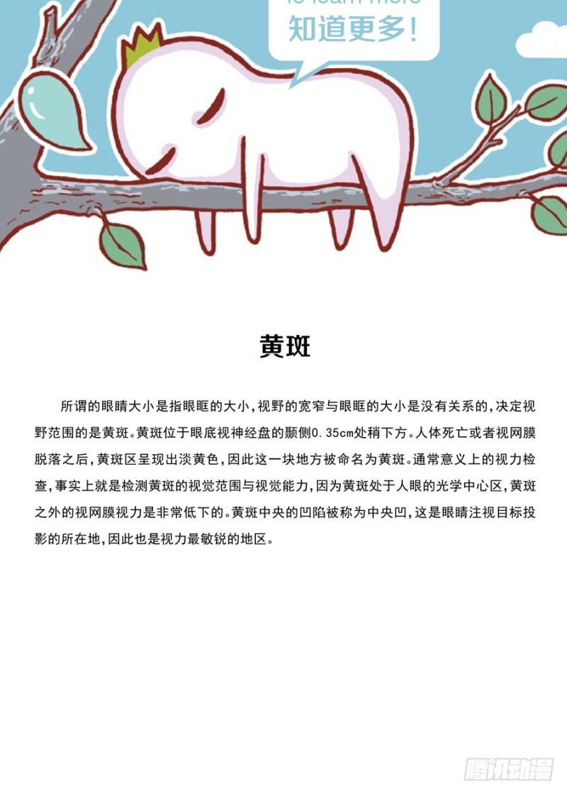 《罗罗布爆笑百科》大的小的都一样 第4页