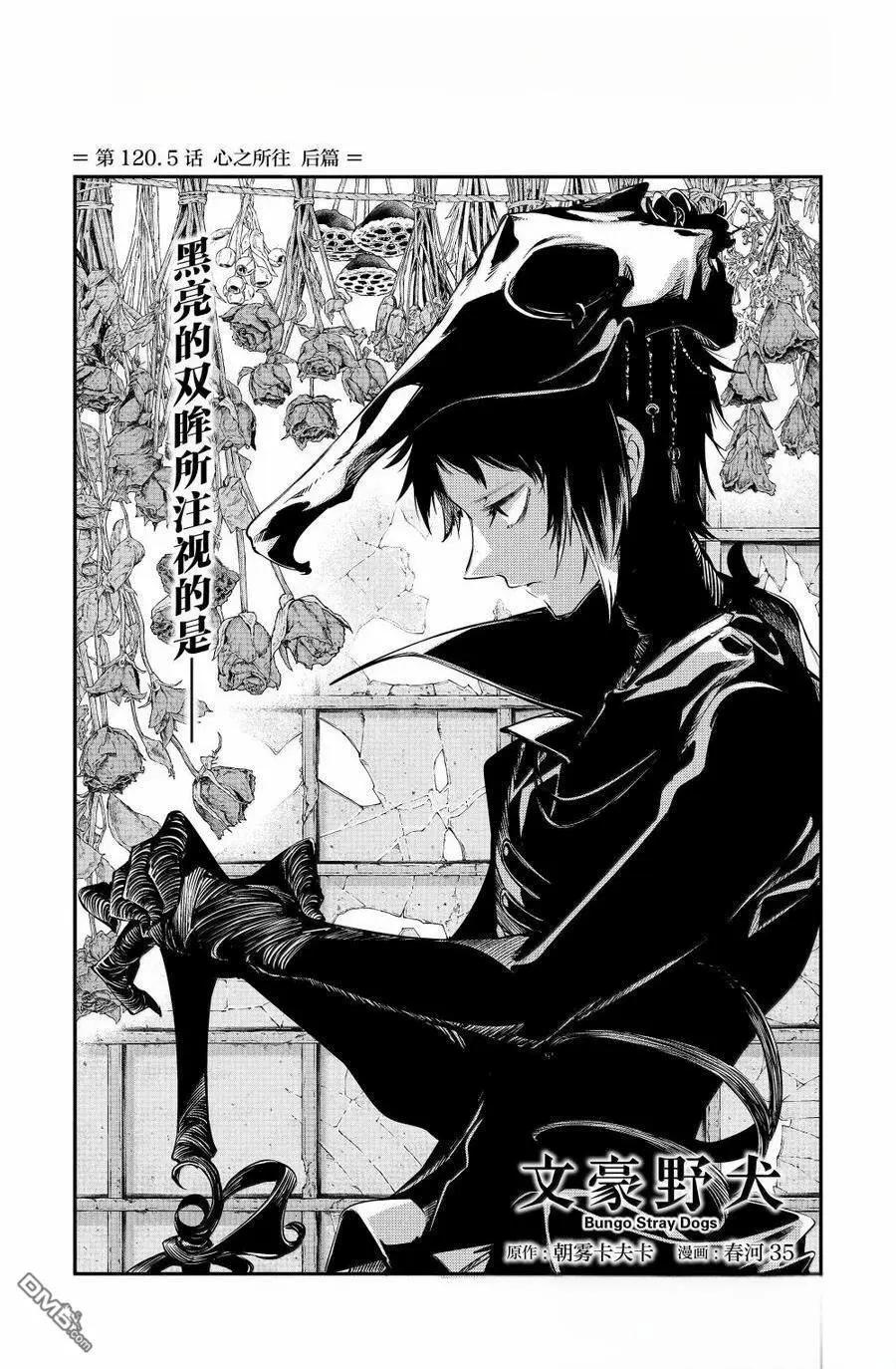 《文豪野犭》第120.5话 第1页