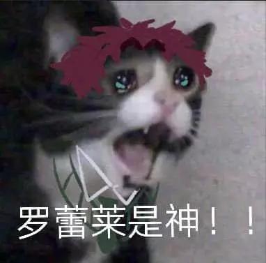 《月刊少女野崎同学》第95回 第16页