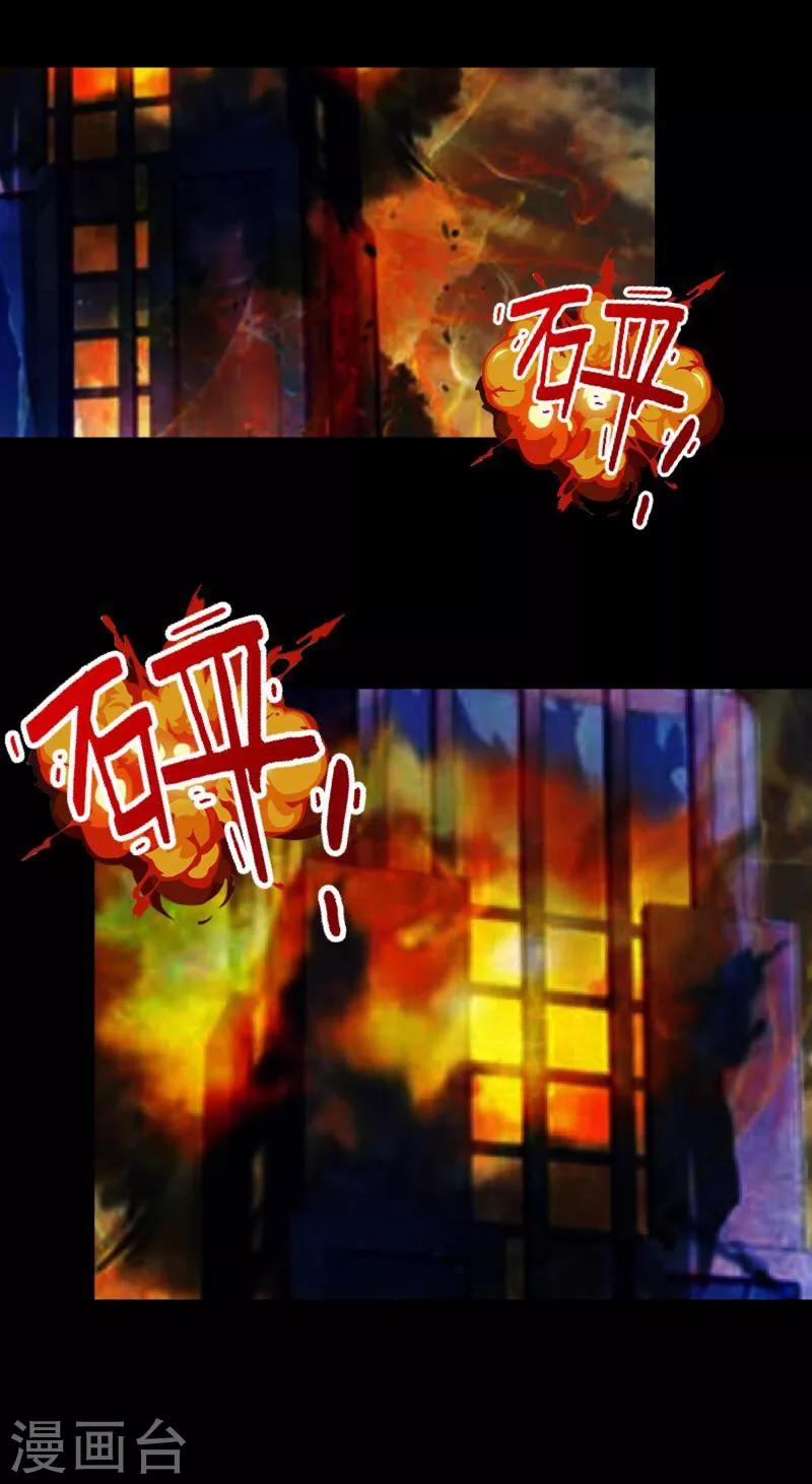 《九尾冥恋》第33话 歼灭岚殿 第28页