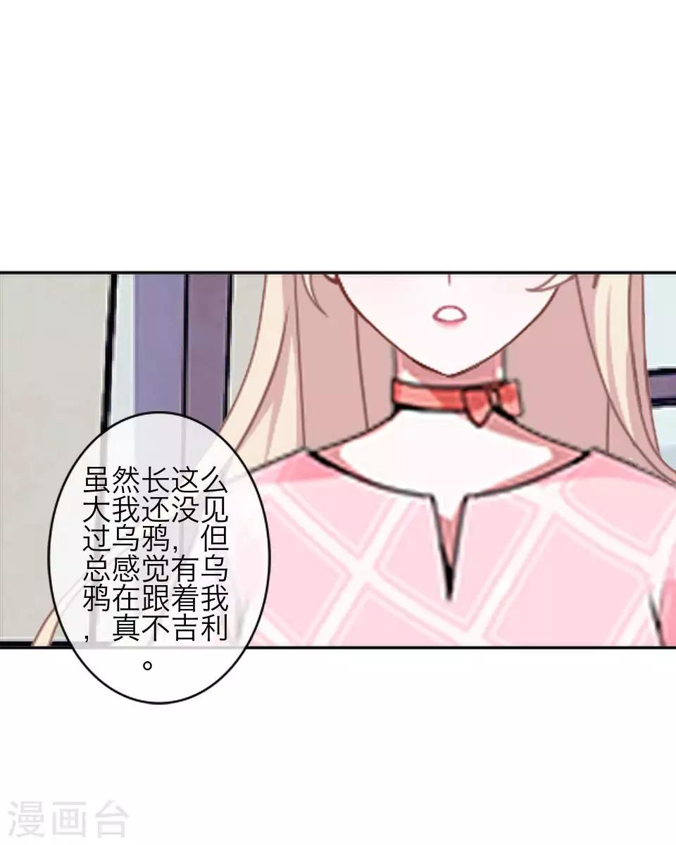 《九尾冥恋》第79话 黑色翎羽 第5页