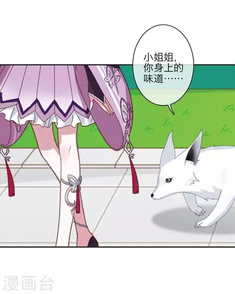 《九尾冥恋》第105话 婚礼 第13页