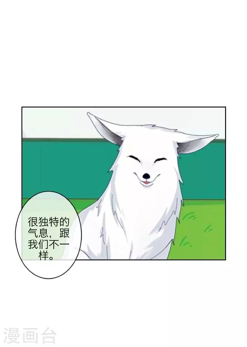 《九尾冥恋》第105话 婚礼 第16页