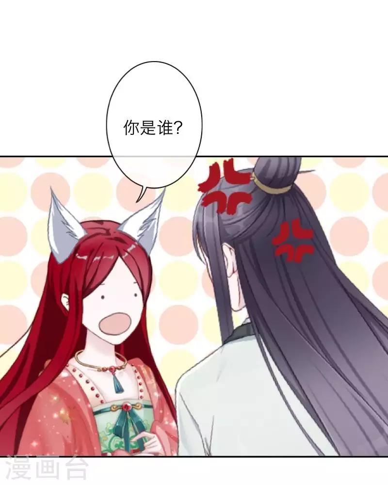 《九尾冥恋》第104话 情投意合 第41页