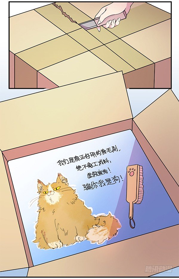 《神雕实验室》骗你我是狗除毛刷 第19页