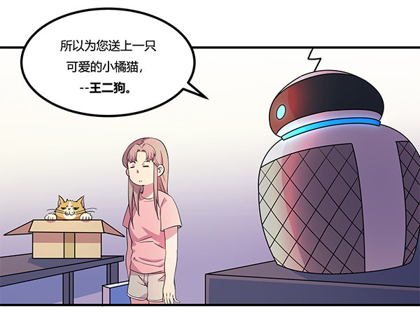 《神雕实验室》骗你我是狗除毛刷 第26页