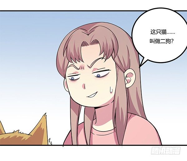 《神雕实验室》骗你我是狗除毛刷 第27页