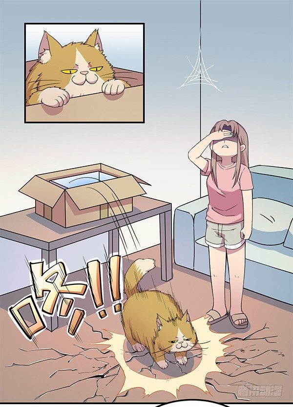《神雕实验室》骗你我是狗除毛刷 第28页