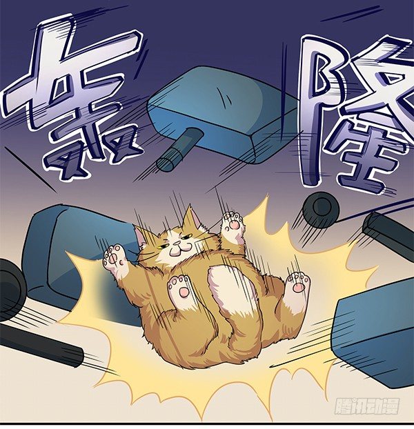 《神雕实验室》骗你我是狗除毛刷 第35页