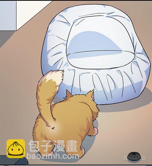 《神雕实验室》骗你我是狗除毛刷 第38页