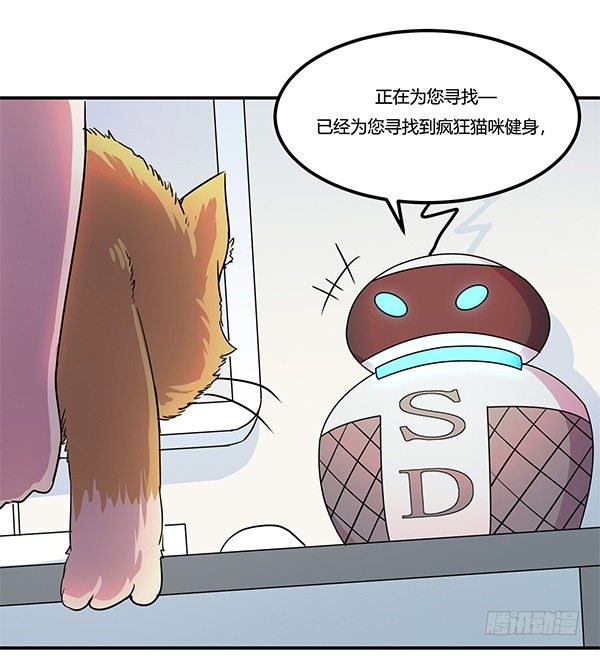 《神雕实验室》骗你我是狗除毛刷 第48页