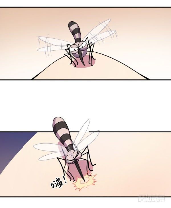 《神雕实验室》算命app 第36页