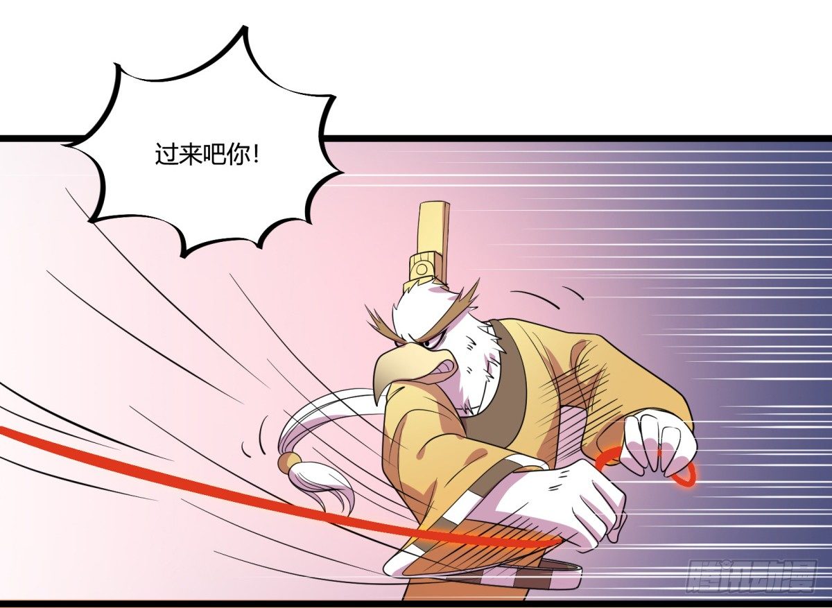 《神雕实验室》什么第一季要完结了？！（下） 第14页