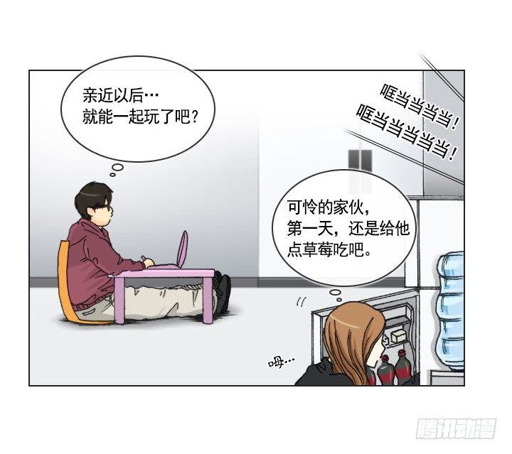 《总裁千金x肥宅》胡萝卜汁的陷阱 第11页