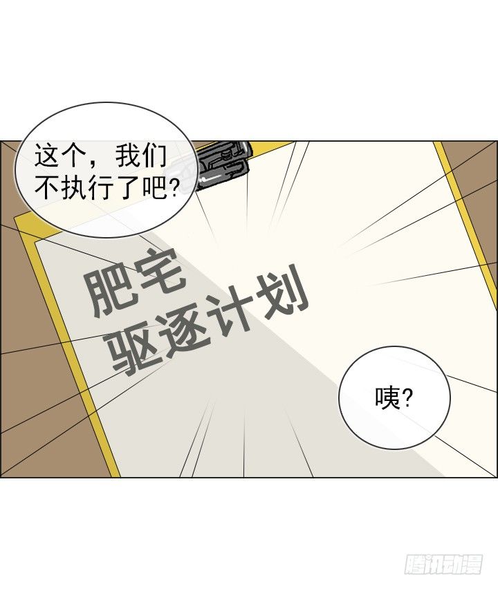 《总裁千金x肥宅》作战计划取消 第18页