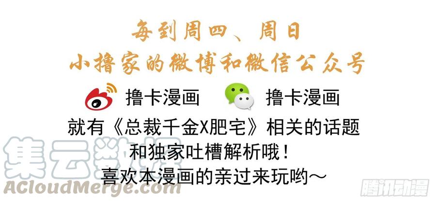 《总裁千金x肥宅》20条法则 第41页