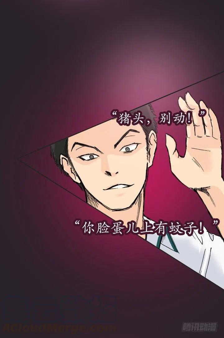 《总裁千金x肥宅》不堪的往事 第13页