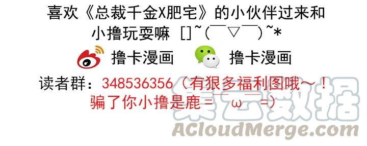 《总裁千金x肥宅》灵机一动 第39页