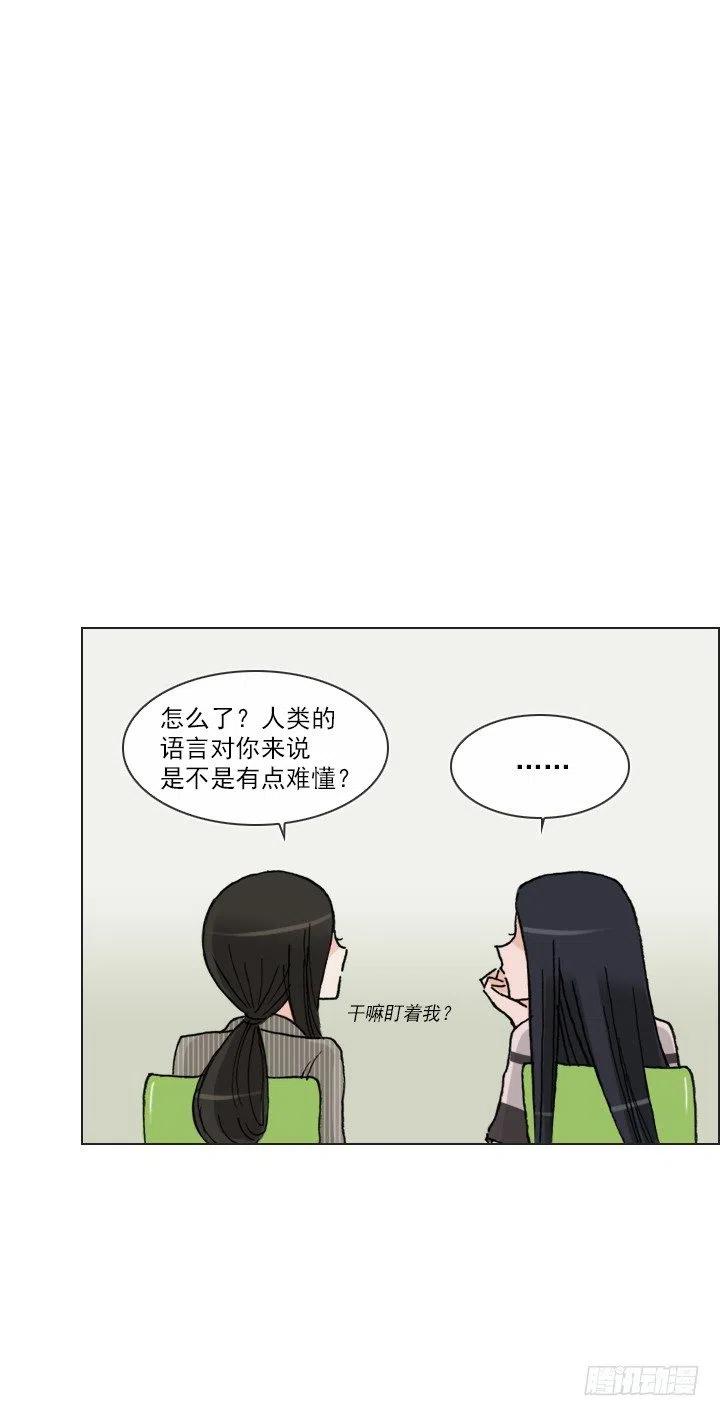 《总裁千金x肥宅》罪恶的男人 第11页