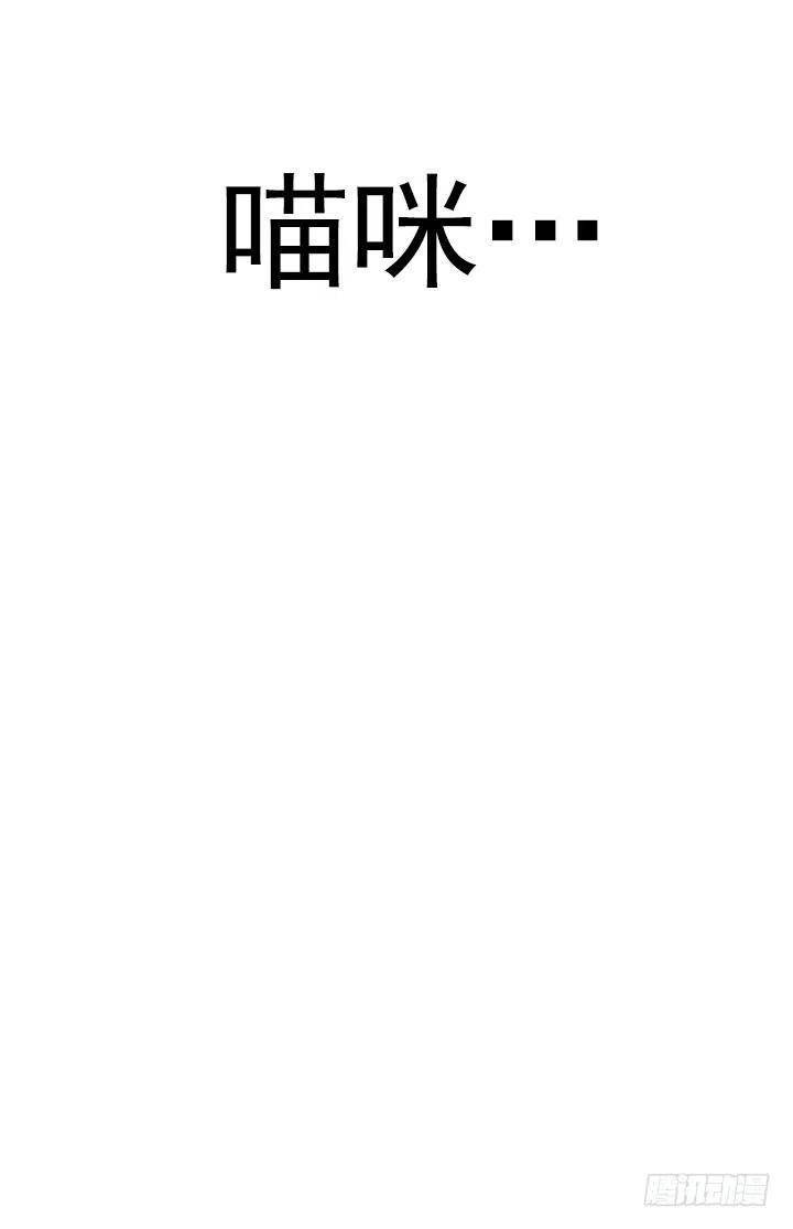 《总裁千金x肥宅》喵咪酱之死 第48页
