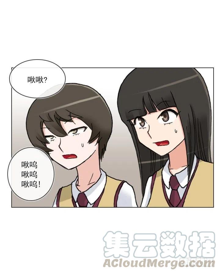 《总裁千金x肥宅》喵咪酱之死 第7页