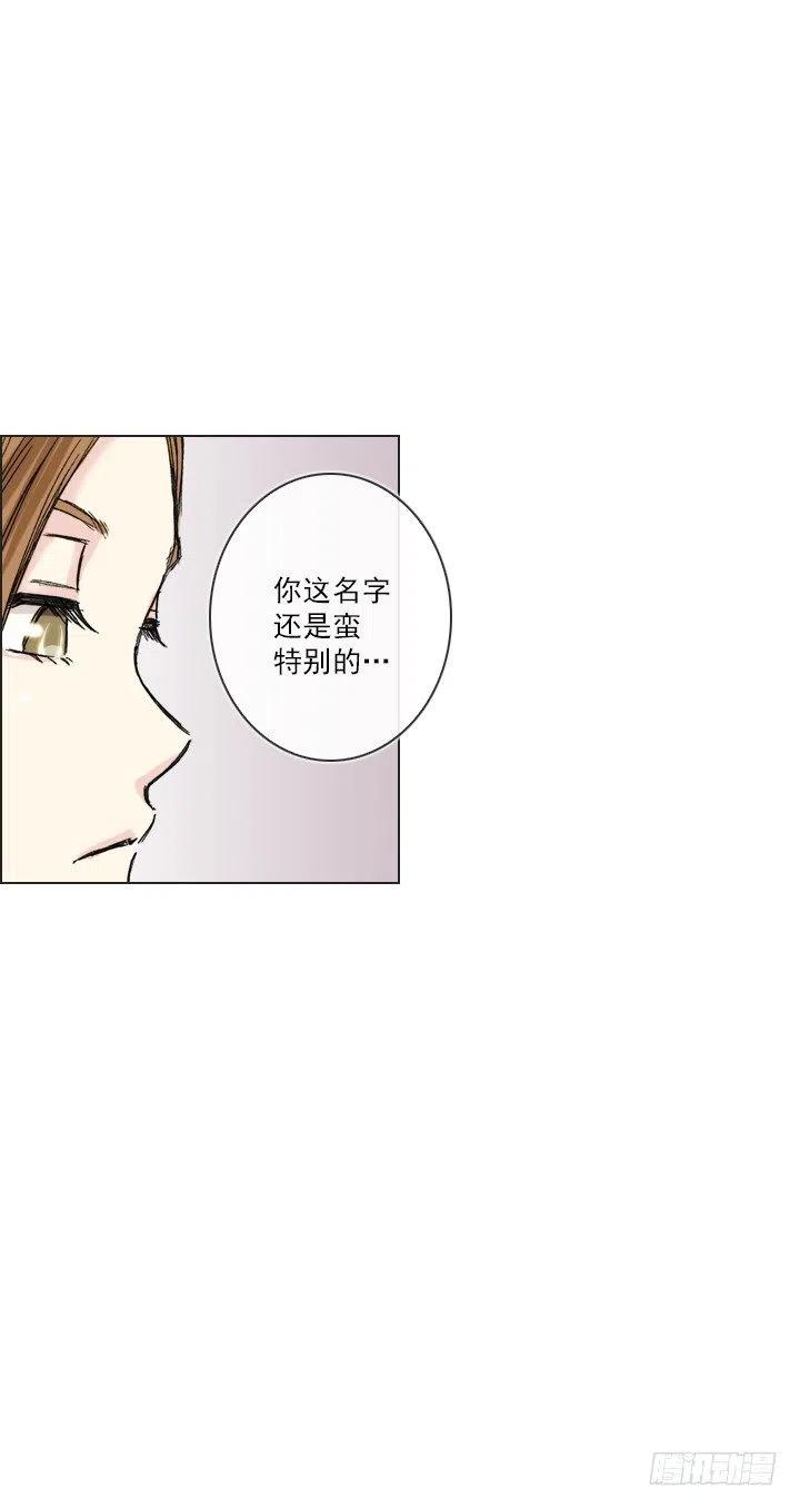《总裁千金x肥宅》擅闯办公重地 第14页
