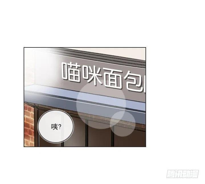 《总裁千金x肥宅》塑料花友情 第34页